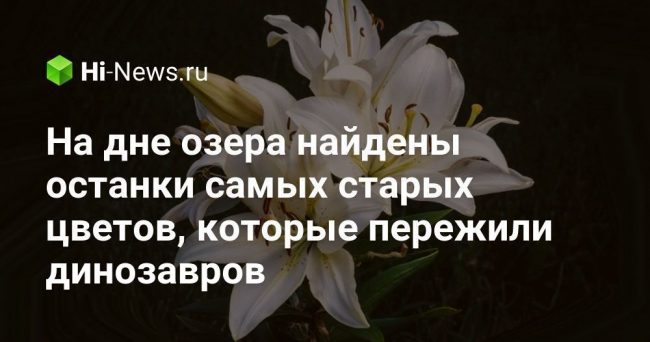 На дне озера найдены останки самых старых цветов, которые пережили динозавров