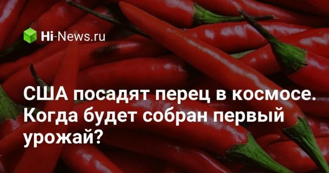 США посадят перец в космосе. Когда будет собран первый урожай?
