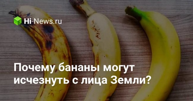 Почему бананы могут исчезнуть с лица Земли?