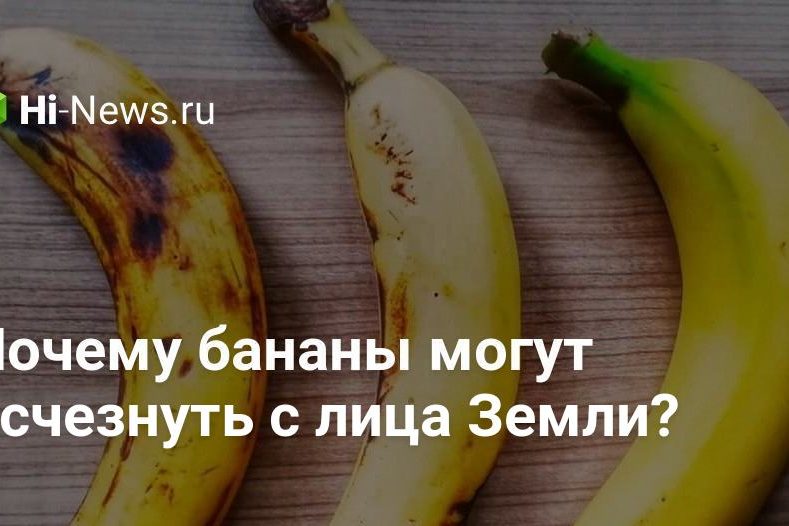 Почему бананы могут исчезнуть с лица Земли?