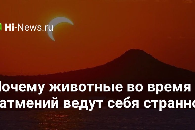 Почему животные во время затмений ведут себя странно