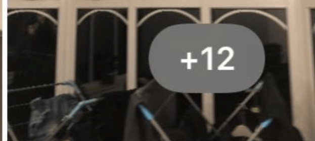 Screen-Shot-2019-07-17-at-1.19.05-PM