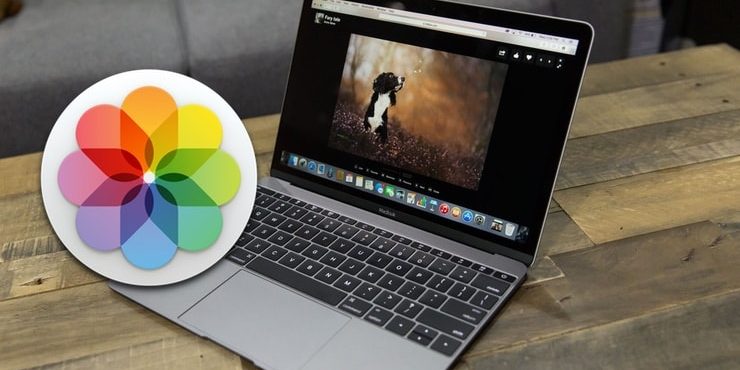 Лучший просмотрщик для Mac, или как просматривать фото на macOS – лучшие приложения