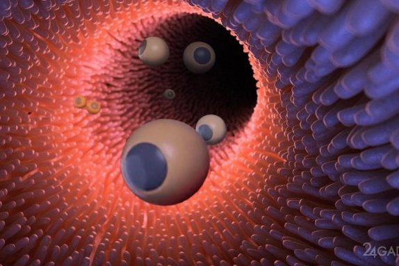 На мышах испытали микророботов по доставке лекарств в кишечник (2 фото + видео) » 24Gadget.Ru :: Гаджеты и технологии