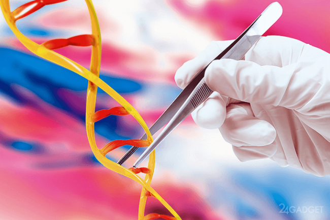 Российский учёный повторит опыт коллеги из Китая и отредактирует геном человека (3 фото) » 24Gadget.Ru :: Гаджеты и технологии