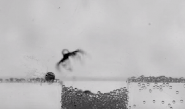 В Германии ученые разработали миниатюрную магнитную медузу для рытья ям