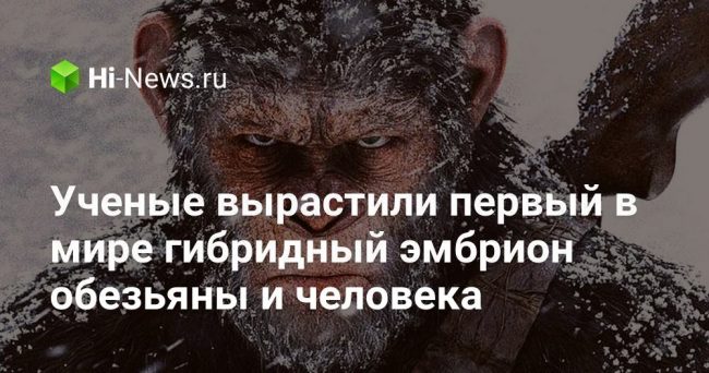 Ученые вырастили первый в мире гибридный эмбрион обезьяны и человека