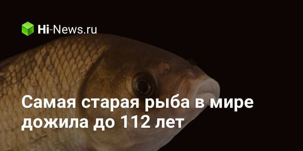 Самая старая рыба в мире дожила до 112 лет