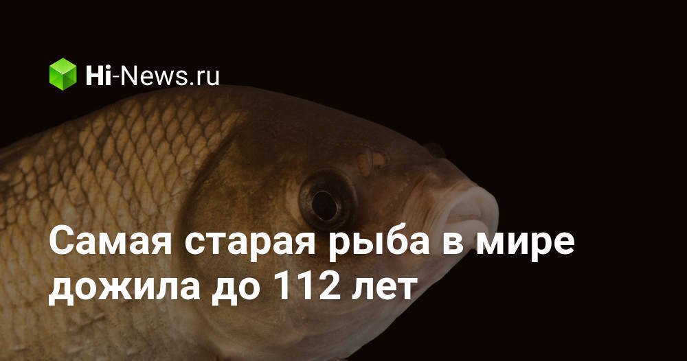Самая старая рыба в мире дожила до 112 лет