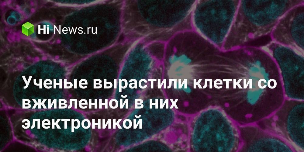 Ученые вырастили клетки со вживленной в них электроникой