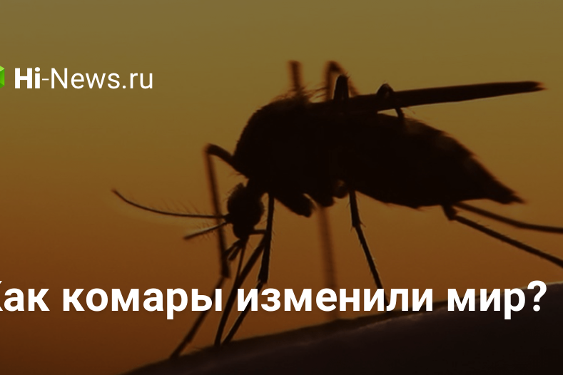 Как комары изменили мир?
