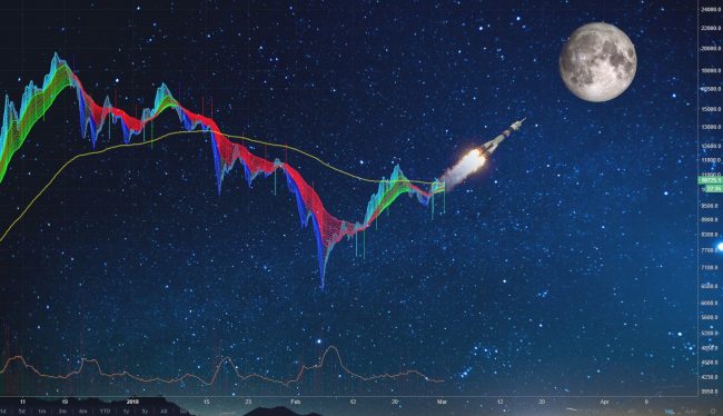 BitStat.Top: заработок на крипто сигналах и торговле альткоинами