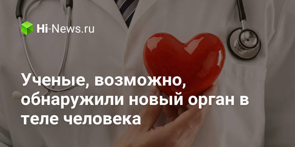 Ученые, возможно, обнаружили новый орган в теле человека