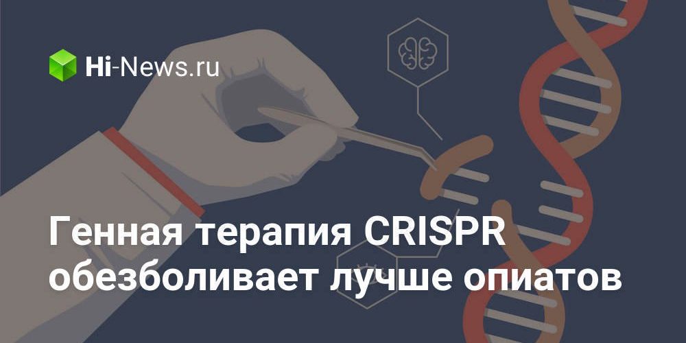 Генная терапия CRISPR обезболивает лучше опиатов