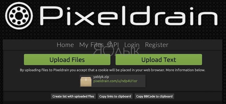 Pixeldrain (Web): общий доступ к файлам на 100 ТБ