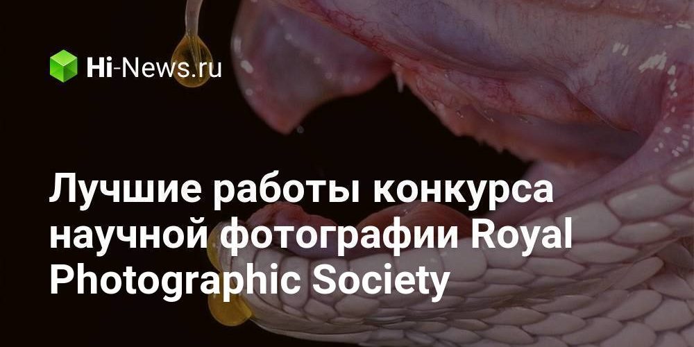 Лучшие работы конкурса научной фотографии Royal Photographic Society