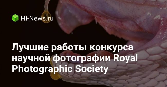 Лучшие работы конкурса научной фотографии Royal Photographic Society
