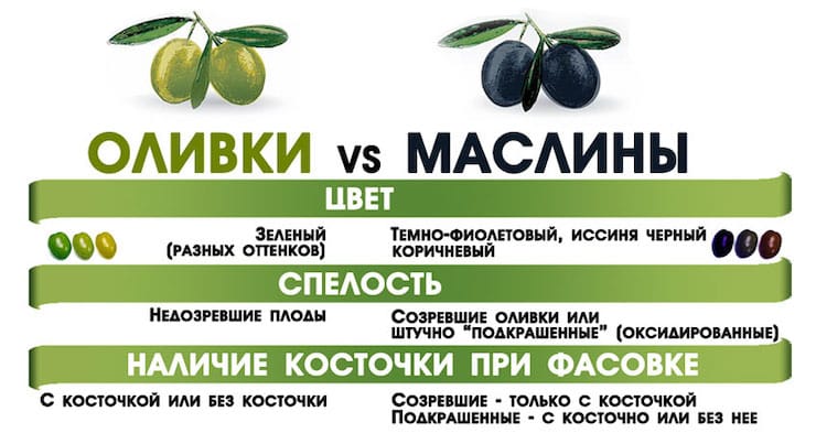 Чем отличаются оливки от маслин и какая от них польза?