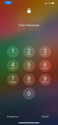 IntelligentPass-2-768×1663