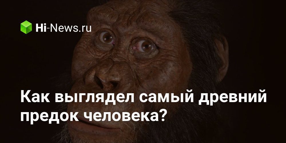 Как выглядел самый древний предок человека?