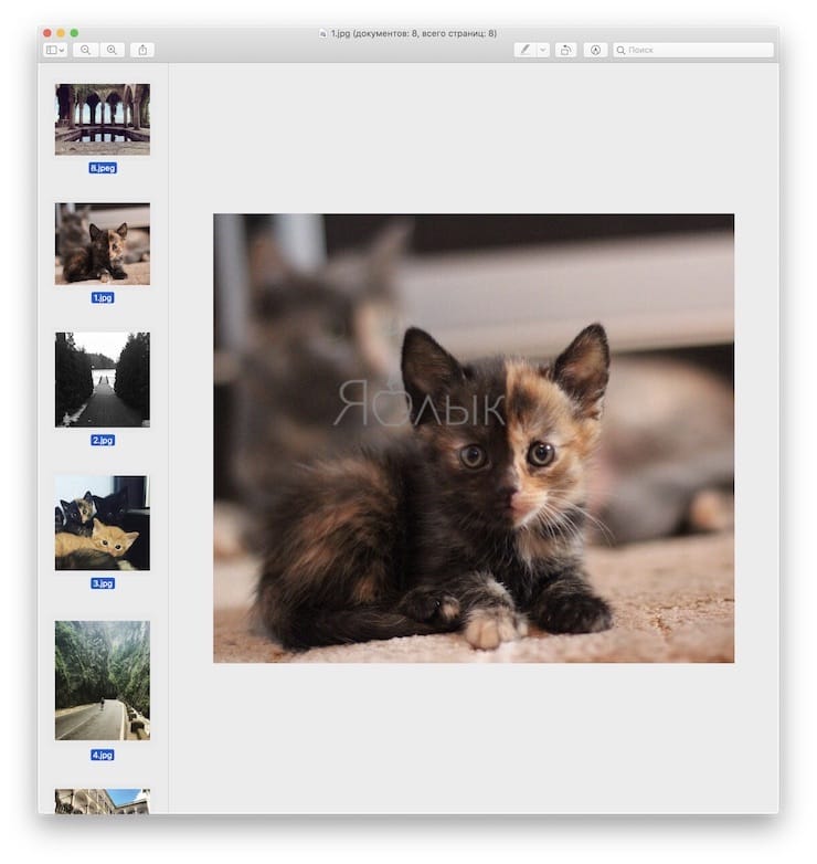 «Просмотр» на Mac (macOS): скрытые возможности редактора фото