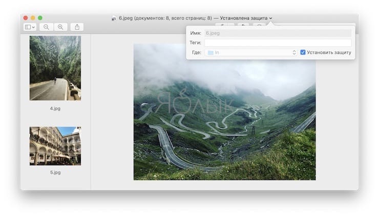 «Просмотр» на Mac (macOS): скрытые возможности редактора фото