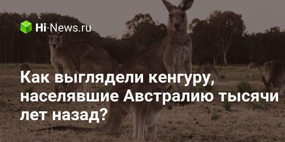 Как выглядели кенгуру, населявшие Австралию тысячи лет назад?