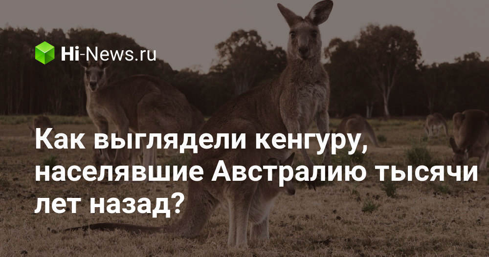 Как выглядели кенгуру, населявшие Австралию тысячи лет назад?