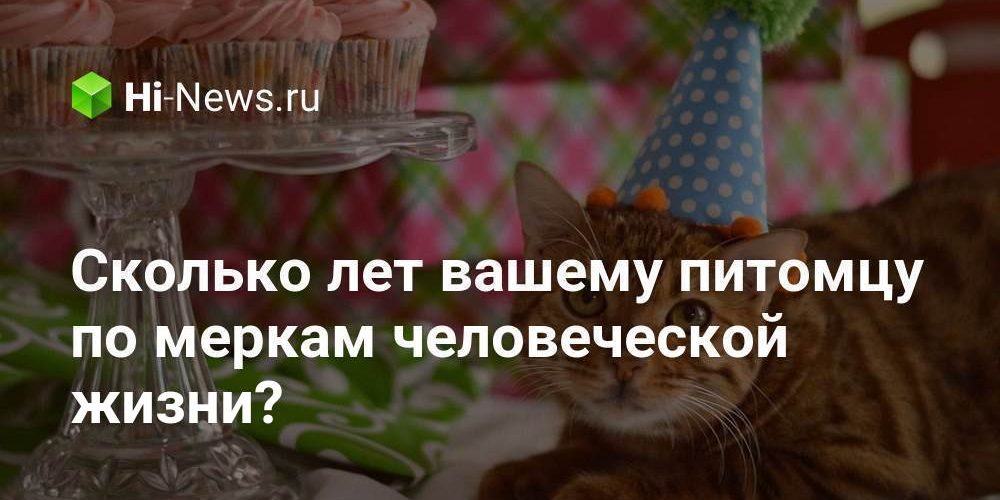 Сколько лет вашему питомцу по меркам человеческой жизни?