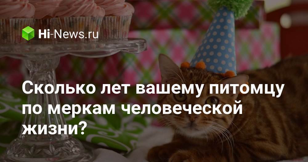 Сколько лет вашему питомцу по меркам человеческой жизни?