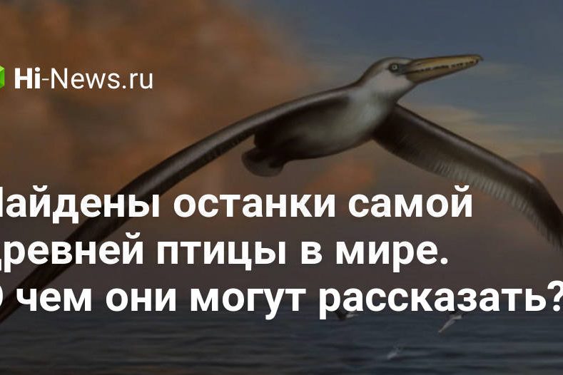 Найдены останки самой древней птицы в мире. О чем они могут рассказать?