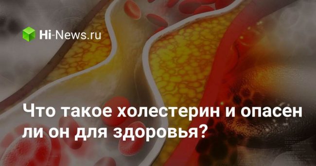 Что такое холестерин и опасен ли он для здоровья?