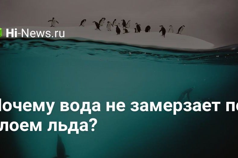 Почему вода не замерзает под слоем льда?