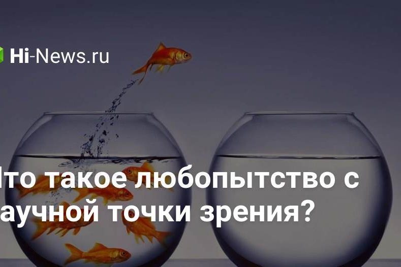 Что такое любопытство с научной точки зрения?