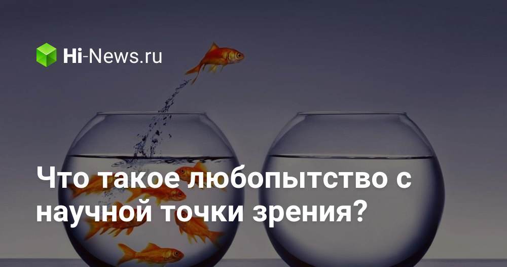 Что такое любопытство с научной точки зрения?