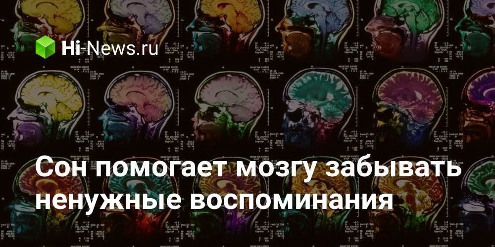 Сон помогает мозгу забывать ненужные воспоминания