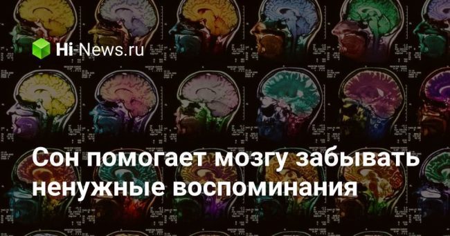 Сон помогает мозгу забывать ненужные воспоминания