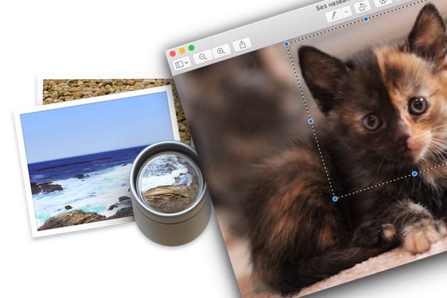 «Просмотр» на Mac (macOS): скрытые возможности редактора фото