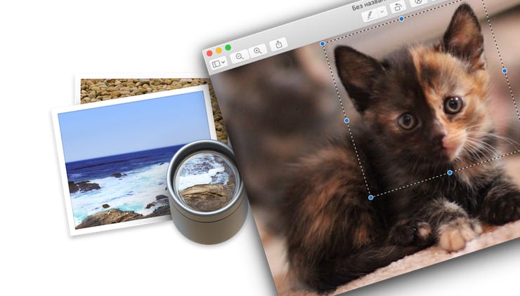 «Просмотр» на Mac (macOS): скрытые возможности редактора фото