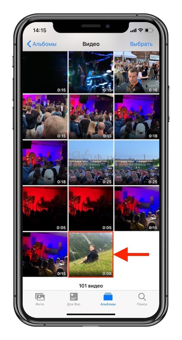 Как превратить Живые Фото (Live Photos) в видео на iPhone или iPad