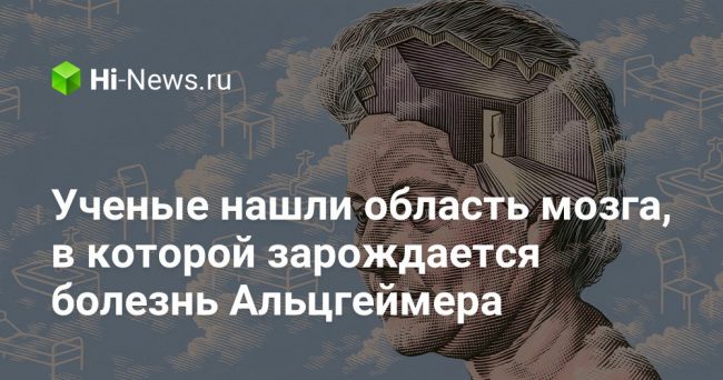 Ученые нашли область мозга, в которой зарождается болезнь Альцгеймера