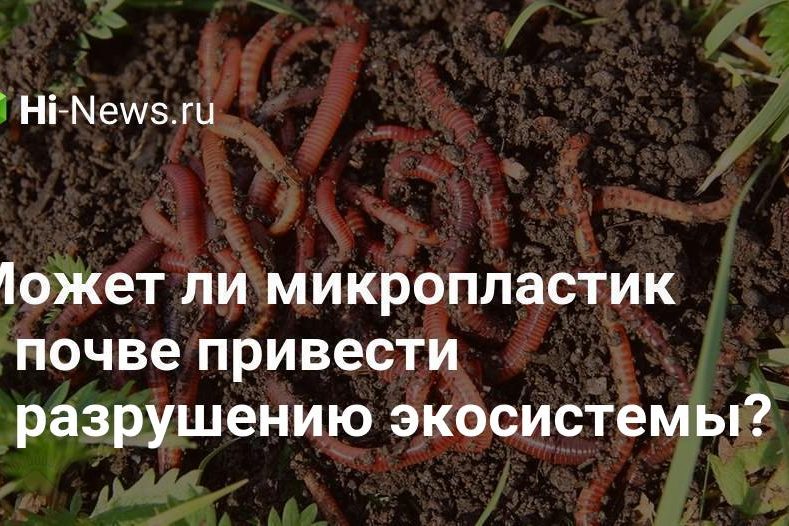 Может ли микропластик в почве привести к разрушению экосистемы?