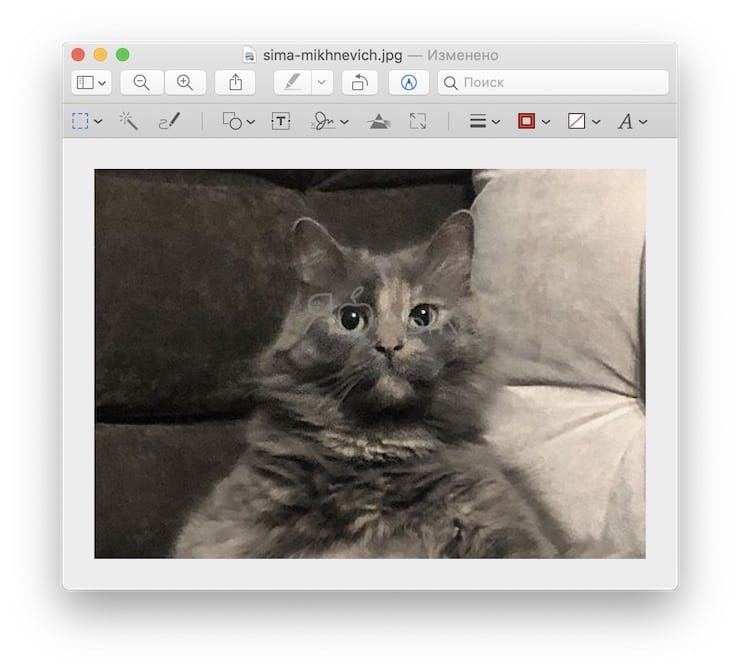Как быстро обрезать фотографию на Mac (macOS) в программе Просмотр