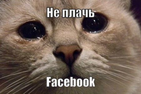 Йельский профессор и старожил Goldman Sachs разрабатывают конкурента Facebook