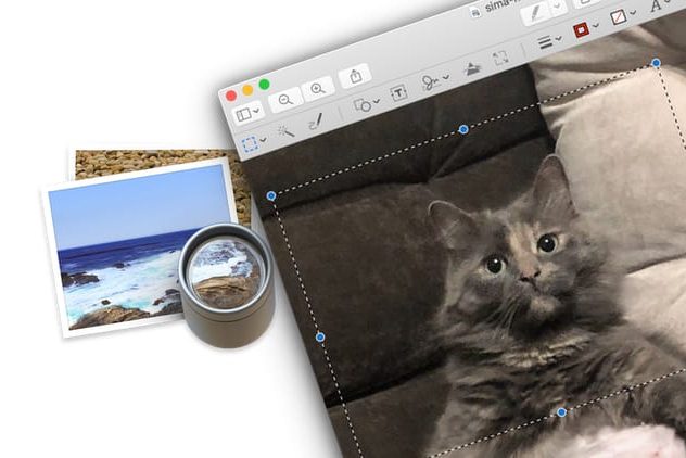 Как быстро обрезать (кадрировать) фотографию на Mac (macOS) в программе Просмотр