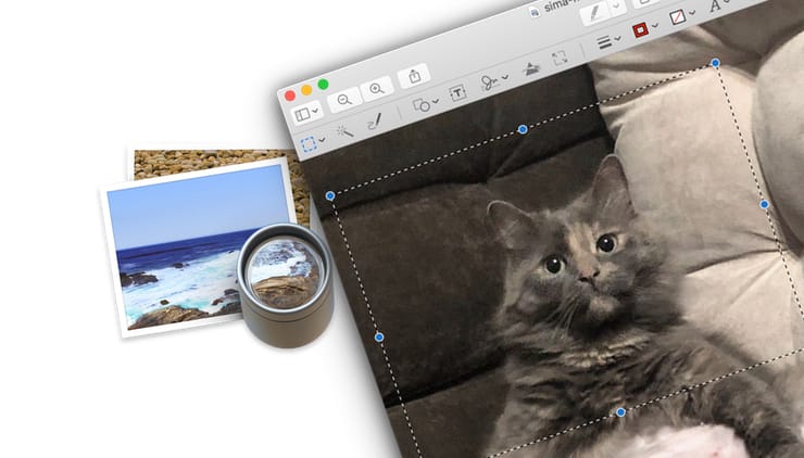 Как быстро обрезать (кадрировать) фотографию на Mac (macOS) в программе Просмотр