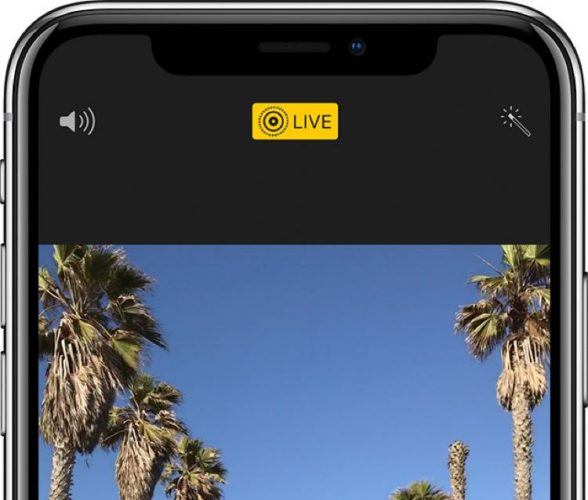 Как сделать видео из Live Photo в iOS 13