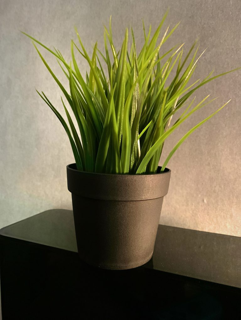 iphone-xr-neural-cam-night-mode-768×1022