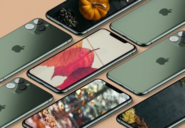 Обои для iPhone ко Дню благодарения