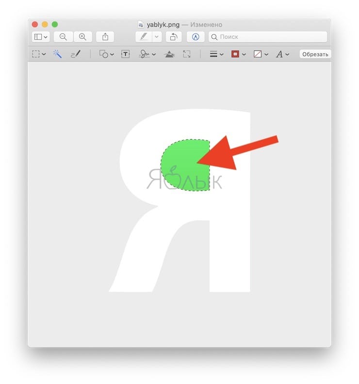 Как сделать прозрачный фон у изображения на Mac (macOS) с помощью программы Просмотр